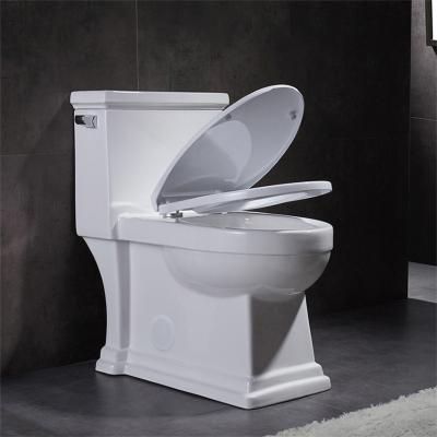 China Ceramic Ada One Piece Skirted Toilet Washroom Water Closet Compact Elongated for sale