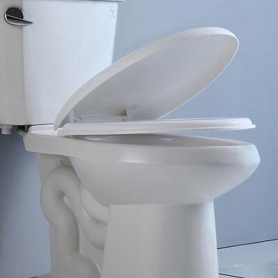 China Ceramic Two Piece Toilet Bowl Wc High White S Trap 300mm Bathroom Commode for sale