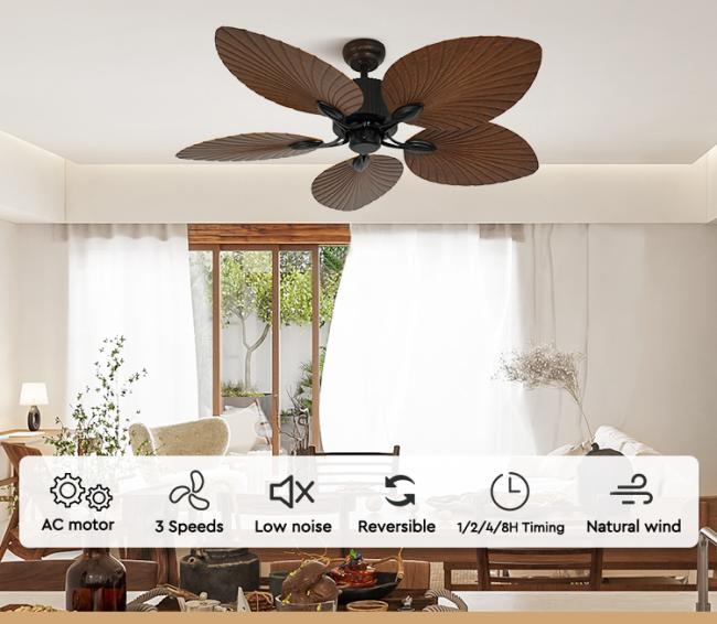 ceiling fan