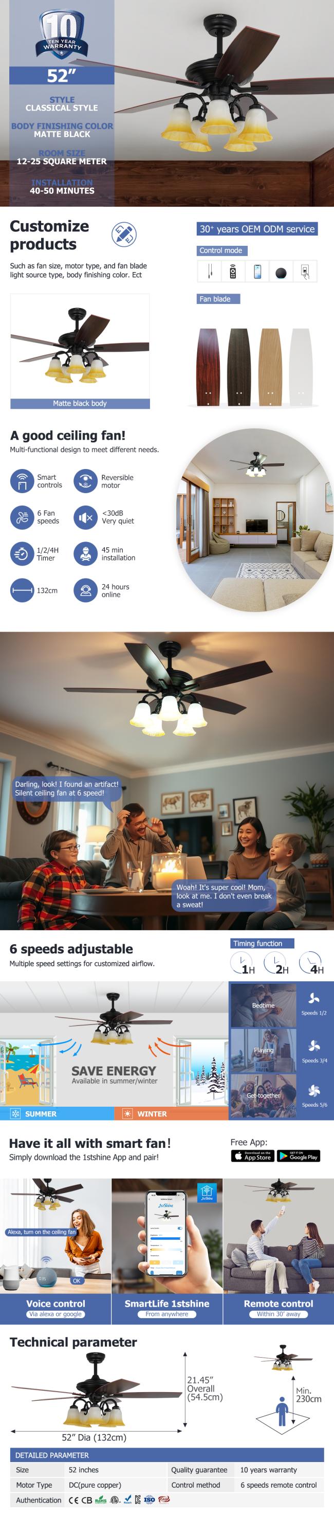 ceiling fan
