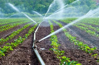 Verified China supplier - YuYao TianJia Garden Irrigation Equipment Co.,Ltd.