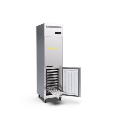 China 0.3kw 2 Door Commercial Upright Freezer Stainless Steel 15 Trays For Commercial Hotel Kitchen for sale