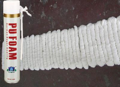 Cina il tipo pulitore dell'estate 750ml dello spruzzo della schiuma dell'unità di elaborazione/schiuma isolamento dello spruzzo può Un-componente in vendita