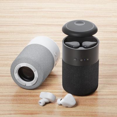 China BT 5.1 Wireless Earbuds And Speaker Set 2 In 1 TWS 9d Bass Sound for sale