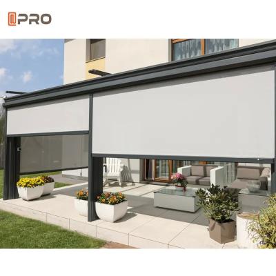 China Windproof Day And Night Roller Blinds Outdoor Motorized Tubular Motor en venta