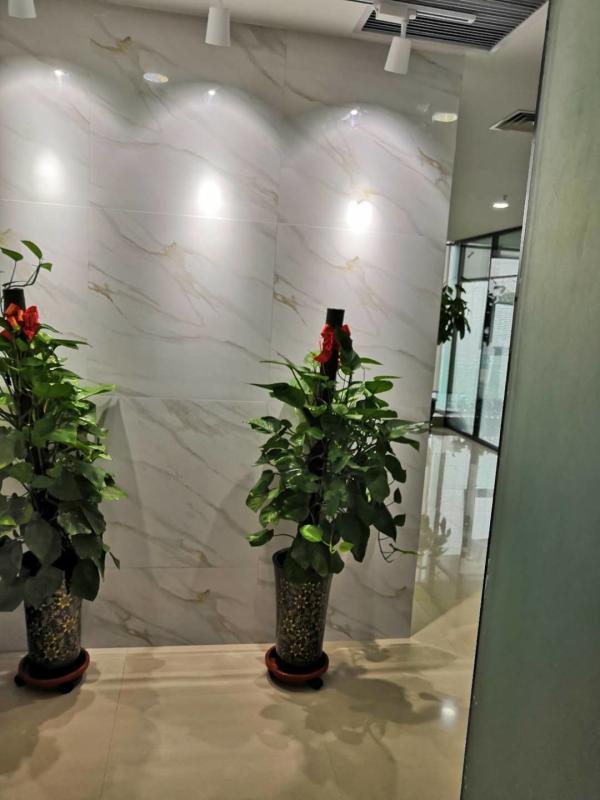 Verified China supplier - Henan Wtering Industrial Co., Ltd.