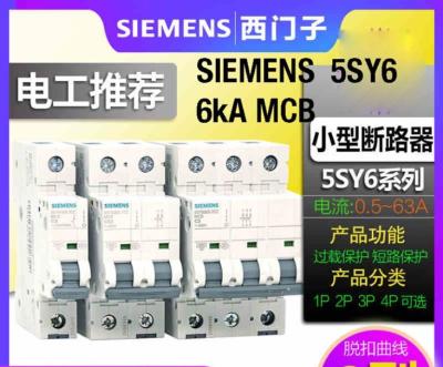 China MCB Miniature Industrial Circuit Breaker 1~63A 1P 2P 3P 4P 1P+N PC Thermal Formed Case for sale