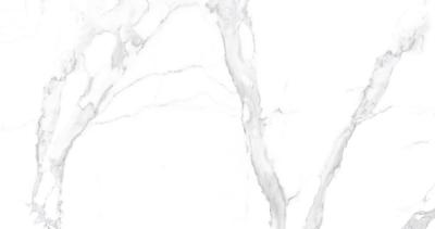 Κίνα Του Καρράρα υπαίθριο διαμορφωμένο πορσελάνης έξοχο άσπρο χρώμα ποσοστού απορρόφησης κεραμιδιών χαμηλό προς πώληση