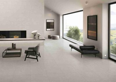 China Anti Slip Floor Tiles Light Grey Color Full Body 24 X 24 X 0.4 Inches for sale
