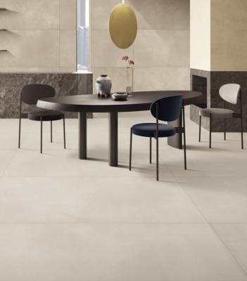 China 600x1200mm Ceramic Floor And Wall Tiles Glazed Cement Look Porcelain Rustic for sale