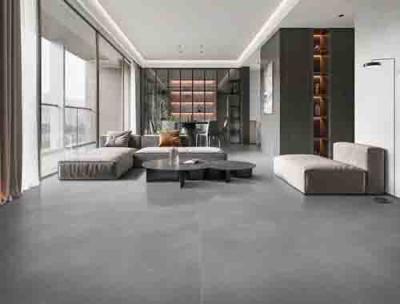 China Large Format Cement Look Floor Tiles Porcelain Matte Dark Structure 60*120cm for sale