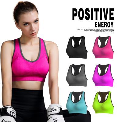 China ODM  Women High Impact Sports Bra stretchable Odorless Opp bag packed for sale
