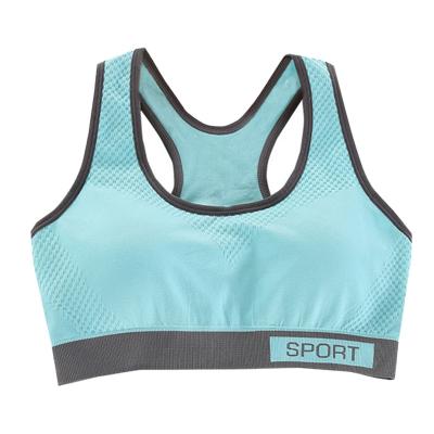 China Underwire Sports Bras For Women High Impact Large Bust Macaron Color for sale
