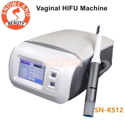 China Hot Selling HIFU Korea Ultrasound Vaginal HIFU Machine for sale