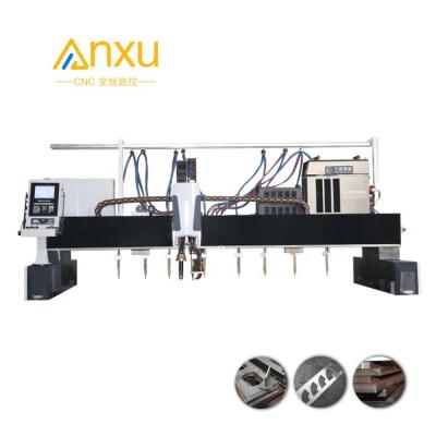 China Customized Automatic Oxy Fuel Cutting Machine Gantry CNC Gas Cutting Machine For Steel Strip for sale