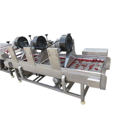 China Central kitchen fruit and vegetable washing machine clean vegetable food processing production line for sale