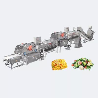 Chine Ligne de tri de lavage de fruits de tomate cerise commerciale équipement de ligne de traitement de légumes équipement de cuisine à vendre