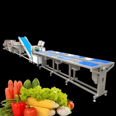 China Industrial Fruit Vegetable Processing Machine Orange Mango Cleaning Drying Packing for sale