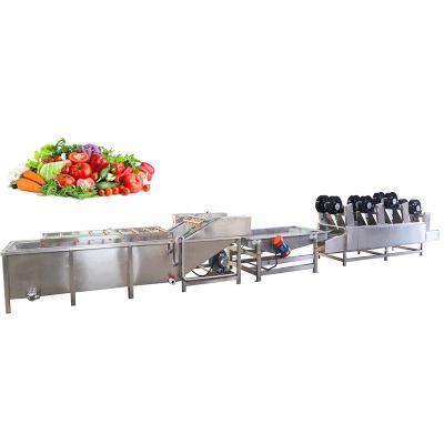 China High Speed Fruit And Vegetable Cleaning Machine Ultrasonic Washing for sale