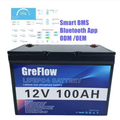 China Longa vida da bateria 12v 200ah Smart BMS do volt LiFePo4 da capa de plástico 12 do ODM do OEM à venda