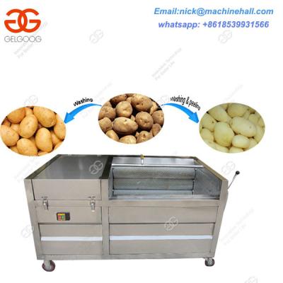 China Best Carrot and Potato Brush Washing Machine Price|Potato and Carrot Brush Washer and Peeler Machine for Sale for sale