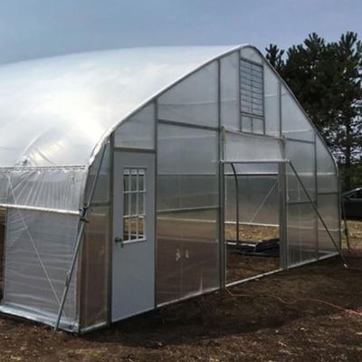 China Vegetable fruits flowers planting low cost commercial agricultural film plastic greenhouses for sale for sale