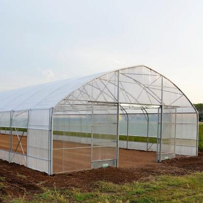 China Vegetable fruits flowers planting Huayi climate control single-span commercial agricultural film plastic greenhouses for sale with hydroponic growing system for sale