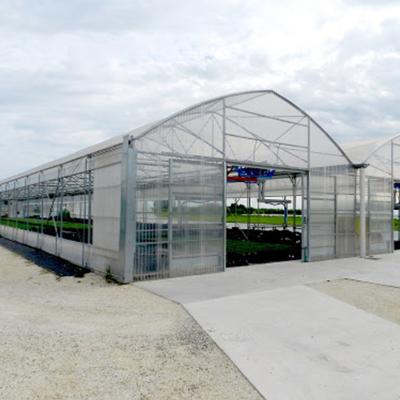 China Fruits Vegetable Flowers Planting Huayi Span Film Agricultural Vehetable Single Planting Greenhouse for sale