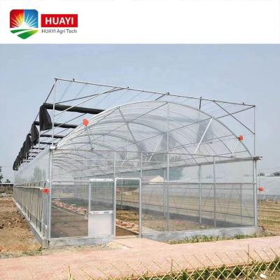 China Fruit Vegetable Flowers Planting High Efficiency Vegetable Tomato Planting Span Agricultural Single Film Plastic Greenhouse For Sale for sale