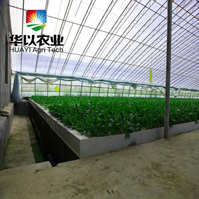 China Leafy vegetables advanced DWC /DFT farmland hydroponics system for leafy vegerable planting for sale