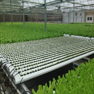 China Stable Structure Easily Assembled HUAYI PVC Pipe NFT Hydroponics System for Lettuce Leafy Vegetable Planting for sale