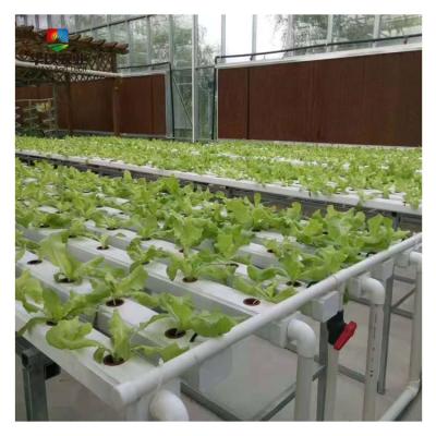 China Stable Structure Easily Assembled Smart Greenhouse Farm NFT Hydroponic Growing System For Leafy Vegetable And Fruits for sale
