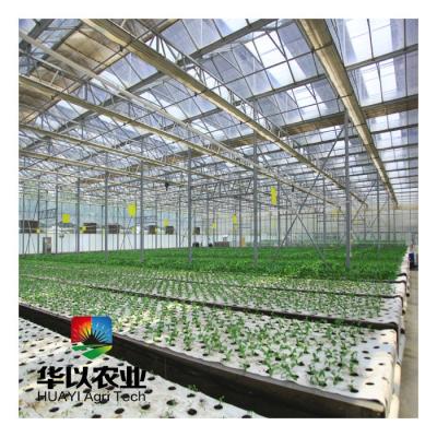 China Automobile Industry Plant Watering And Growing Hydroponic Systems With Compressor for sale