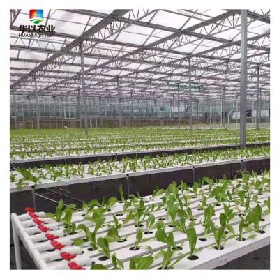 China Good Quality Leafy Vegetable Growing Hydroponic Growing Systems NFT Greenhouse Smart Hydroponics à venda