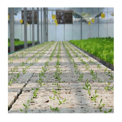 China Factory Direct Stable Structure Factory Complete Growing Hydroponic Lettuce Indoor Growing Systems for sale