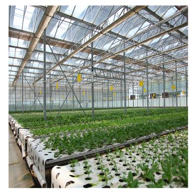 China Stable Commercial Customizable Agricultural Structure Vertical Hydroponic Growing Systems for sale
