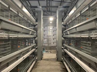 Chine Le type moderne poulet de la ferme avicole H de fil de cage de couche met en cage la capacité de 144 oiseaux à vendre