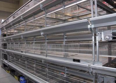 Chine Cage de poulet à rôtir de système de cage de ferme avicole de capacité élevée 42 kilogrammes de poids à vendre