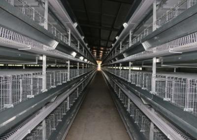 Chine La volaille de poulet de conception de fil mettent en cage, poussin élevant la cage moins de 0,05% taux cassés par oeuf à vendre