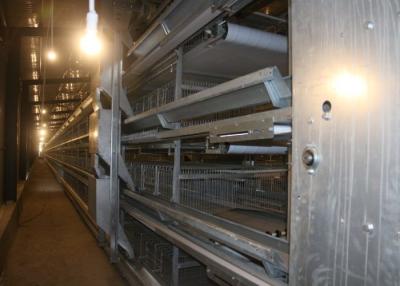 Китай Серебристая промышленная клетка цыпленка бройлера для класть блок позема яя двойной выскабливая продается