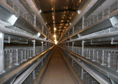 Chine Cage de poulet à rôtir de capacité de 120 oiseaux anticorrosion pour la ferme avicole à vendre