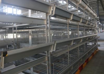 China High Efficiency H Type Poultry Cage Low Carbon Steel Wire Material Easy Installation for sale