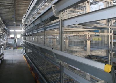 China Industrial  Automatic H Type Layer Chicken Cage Reduce Feed Wastage for sale