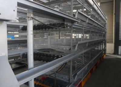 China Durable Poultry Keeping Equipment  For Large Scale Production Chicken Farming for sale