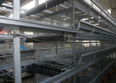 China Layer Chicken Farm Tools Broiler Farming In Cage System Science Design for sale
