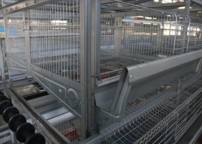 China Several Tiers Poultry Farm Feeding System High Elasticity Reduce  Deformation for sale