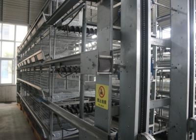 China Industrial Layer Poultry Farming Equipment Silver Cage System In Poultry for sale