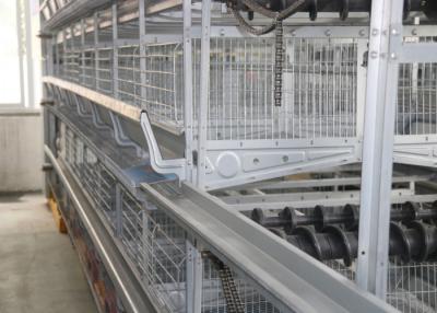 China Energy Saving Automated Poultry Equipment Simple Structure 1200×600×480 Mm for sale