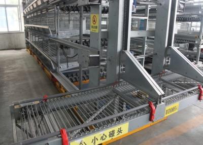 Chine Volaille professionnelle de résistance à la corrosion de cage de poulet de couche gardant l'équipement à vendre