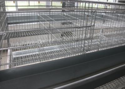 China H Type Layer Chicken Cage Full Automatic Open House Battery Cage System for sale